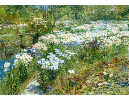 VU25 Childe Hassam - Vodní zahrada