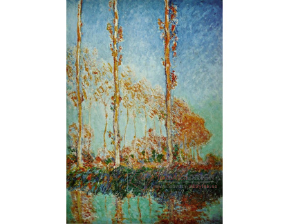 VCM 99 Claude Monet - Tři topoly na podzim