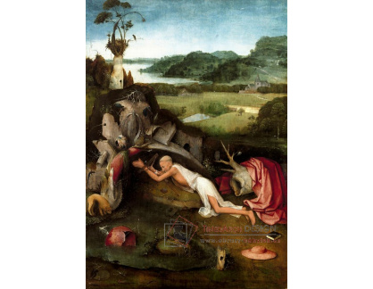 A-5738 Hieronymus Bosch - Svatý Jeroným v modlitbě