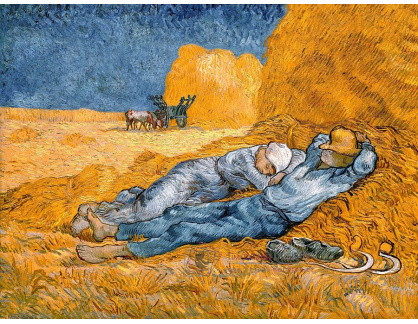 VR2-11 Vincent van Gogh - Poledne
