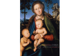 VlCR-25 Lucas Cranach - Madonna