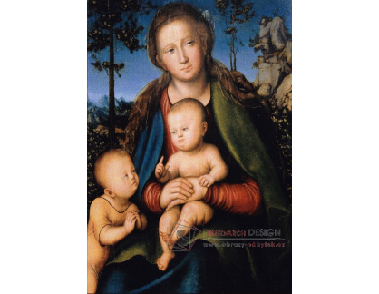 VlCR-25 Lucas Cranach - Madonna