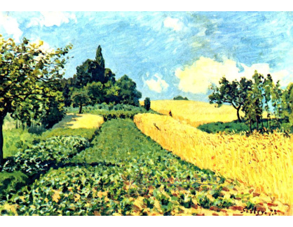 VANG4 Alfred Sisley - Kukuřičné pole na kopci u Argenteuil