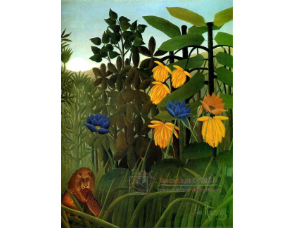 VF26 Henri Rousseau - Jídlo lva