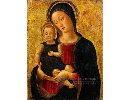 DDSO-46 Bartolomeo Vivarini - Madonna s dítětem