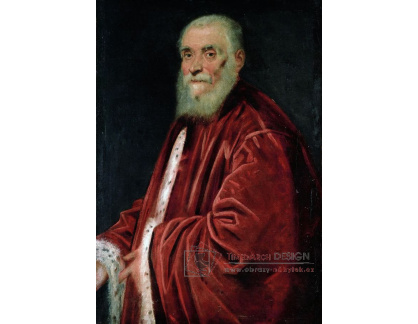 PORT-290 Jacopo Tintoretto - Marco Grimani
