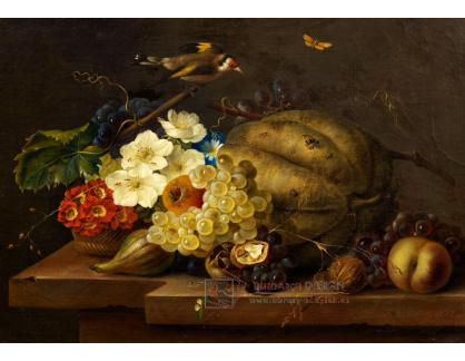 A-1326 Franz Xaver Petter - Zátiší s květinami, ovocem, stehlíkem a motýlem