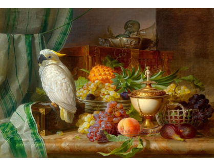 DDSO-4552 Josef Schuster - Zátiší s ovocem a papouškem