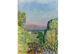 A-4658 Pierre Bonnard - Borový les