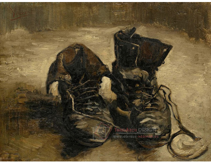 VR2-117 Vincent van Gogh - Jeden pár bot