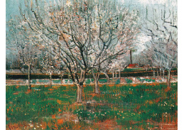 VR2-71 Vincent van Gogh - Kvetoucí švestky