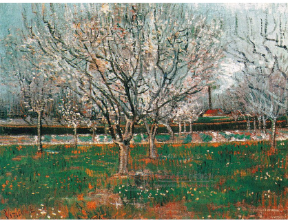 VR2-71 Vincent van Gogh - Kvetoucí švestky