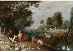 SO VIII-76 Frans Francken - V ráji