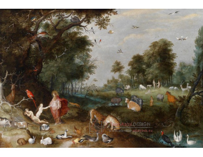 SO VIII-76 Frans Francken - V ráji