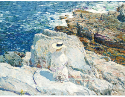 SO XI-211 Childe Hassam - Appledore