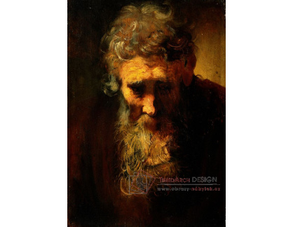 A-2956 Rembrandt - Studie starého muže