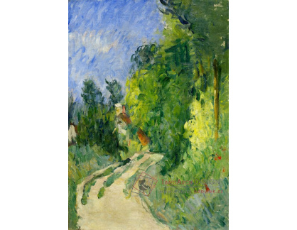 DDSO-2958 Paul Cézanne - Cesta lesem