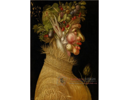 VGA7 Giuseppe Arcimboldo - Léto