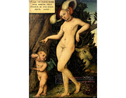VlCR-172 Lucas Cranach - Amor a Venuše