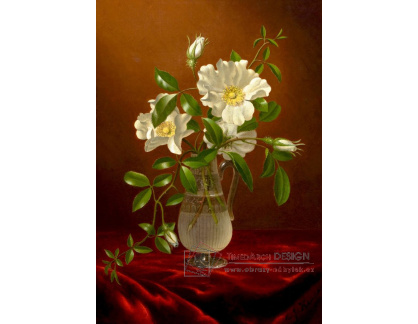 A-1477 Martin Johnson Heade - Růže ve skleněné váze