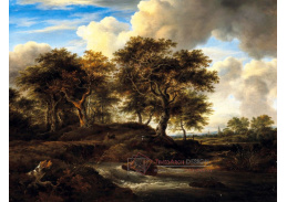 A-3547 Jacob Van Ruisdael - Lesní krajina