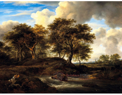 A-3547 Jacob Van Ruisdael - Lesní krajina