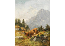 A-5617 Moritz Mueller - Prchající jelen a jezevčík