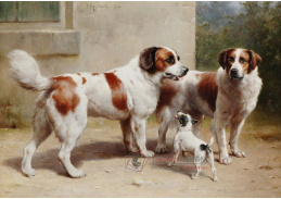 DDSO-1543 Carl Reichert - Tři huňáči