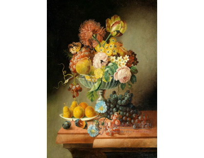 SO XVII-234 Johann Georg Seitz - Zátiší s květinami a ovocem