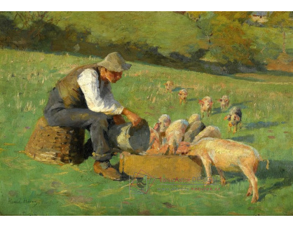 KO I-387 Harold Harvey - Čas krmení