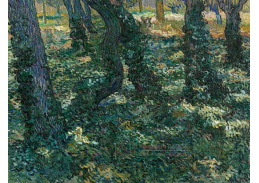 VR2-246 Vincent van Gogh - Podrost s břečťanem