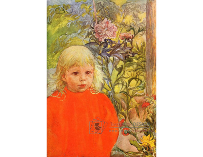 VSO1356 Carl Larsson - Bo