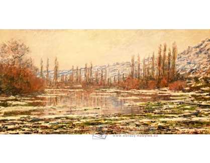 A-309 Claude Monet - Obleva ve Vetheuil