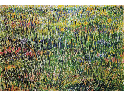 R2-1028 Vincent van Gogh - Kvetoucí louka