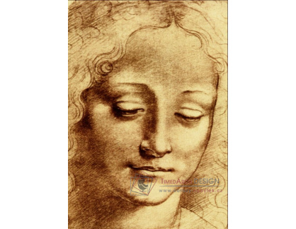 VR1-17 Leonardo da Vinci - Studie ženské hlavy