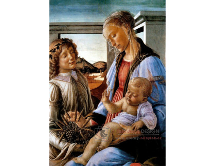 VR17-9 Sandro Botticelli - Madonna dell Eucarestia