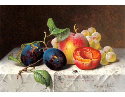VN-208 Emilie Preyer - Zátiší s ovocem
