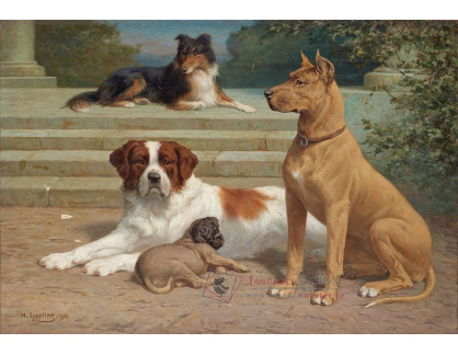 SO VIII-360 Heinrich Sperling - Odpočívající psi