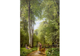 KO V-143 Peter Christian Skovgaard - Bukový les u Iselingen Manor