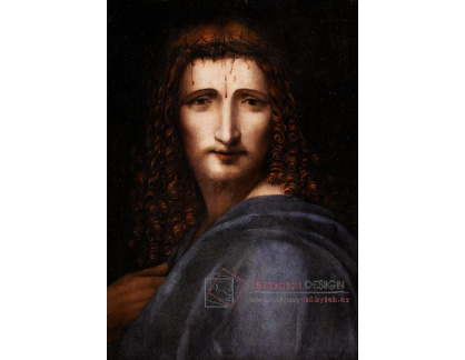 DDSO-2877 Leonardo da Vinci - Ecce homo