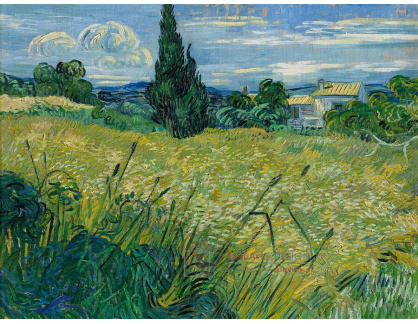D-6174 Vincent van Gogh - Zelené obilí