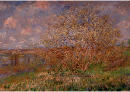 VCM 187 Claude Monet - Jaro