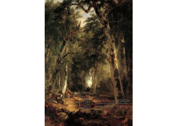 KO V-385 Asher Brown Durand - V lese