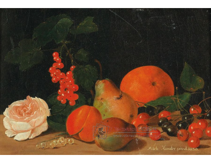 DDSO-4643 Michael Kunater - Zátiší s ovocem a růží