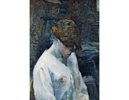 D-6372 Henri de Toulouse-Lautrec - Zrzka s bílou halenkou