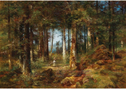 DDSO-1511 Anton Dieffenbach - Tannenwald