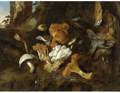 KO III-318 Otto Marseus van Schrieck - Zátiší s houbami, motýly a hadem