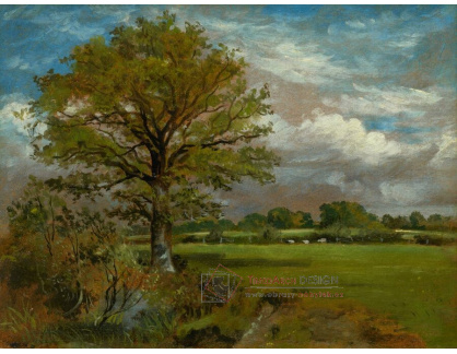 A-7069 Lionel Bicknell Constable - Strom na louce