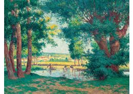 D-6528 Maximilien Luce - Pradleny u břehu