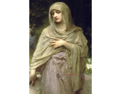 R15-117 Adolph William Bouguereau - Skromnost